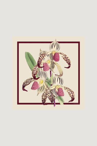 Lenço Petit Carré Orchid